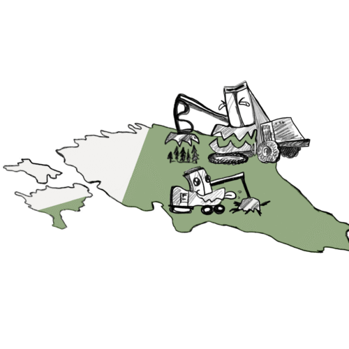 Aleksandra Nikolajeva 70% majandusmets illustratsioon