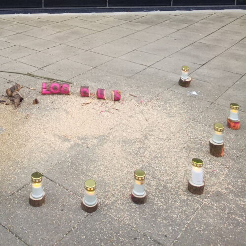 Looduuskaitsealade ront lõigatud